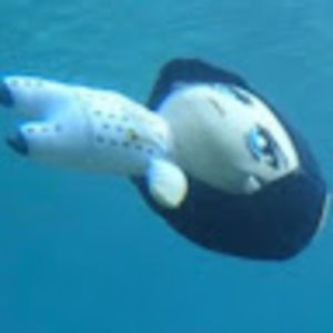 Meet your Posher, Russel manzanarez